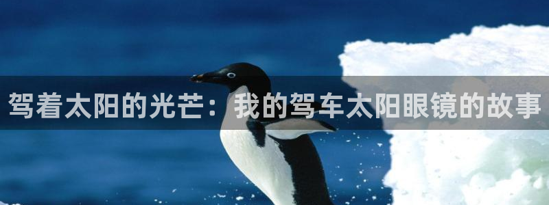 新宝5官网67五壹叁八