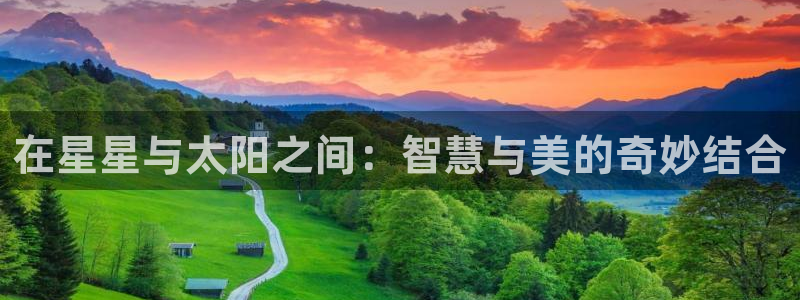 新宝5怎么代理