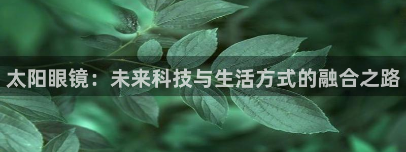 新宝5娱乐网址