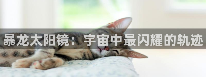 新宝5日740005蔻