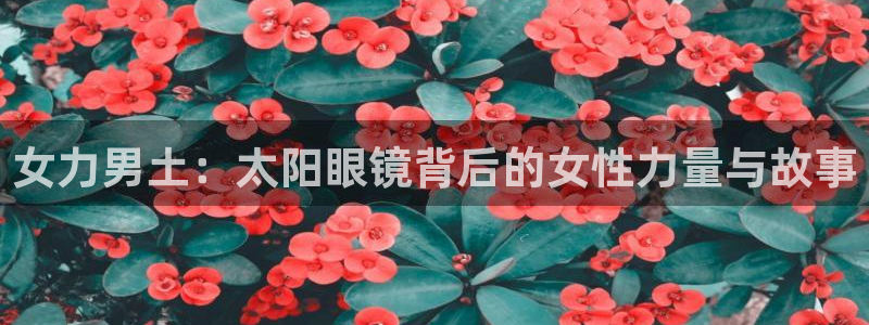 新宝5下载网址