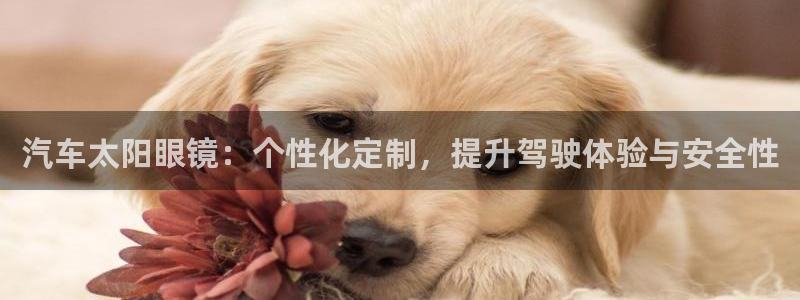 新宝5新宝6顺达