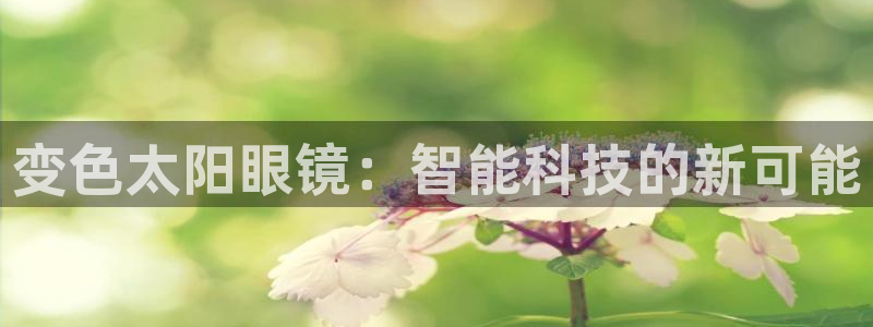 新宝股东瞧听2 5 5